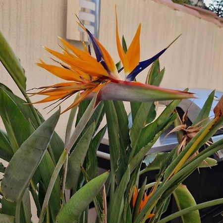 L'Oiseau Du Paradis 纳博讷 外观 照片